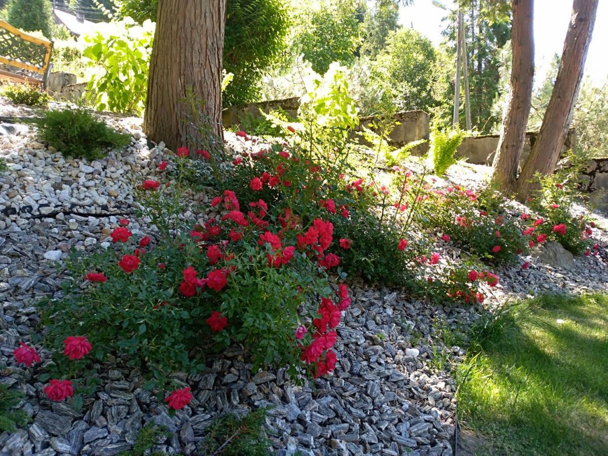 Dom Wczasowy Sokolica Krynica Exterior foto